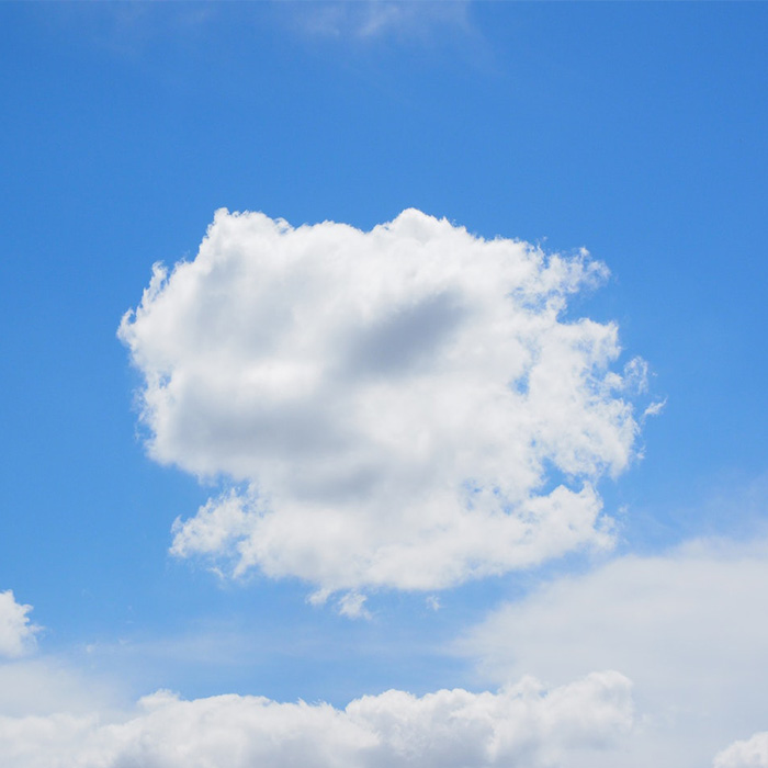 116 Weird Facts That You Just Have To Know