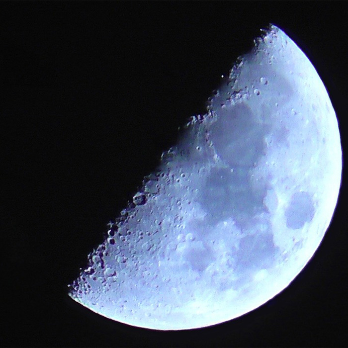 116 Weird Facts That You Just Have To Know