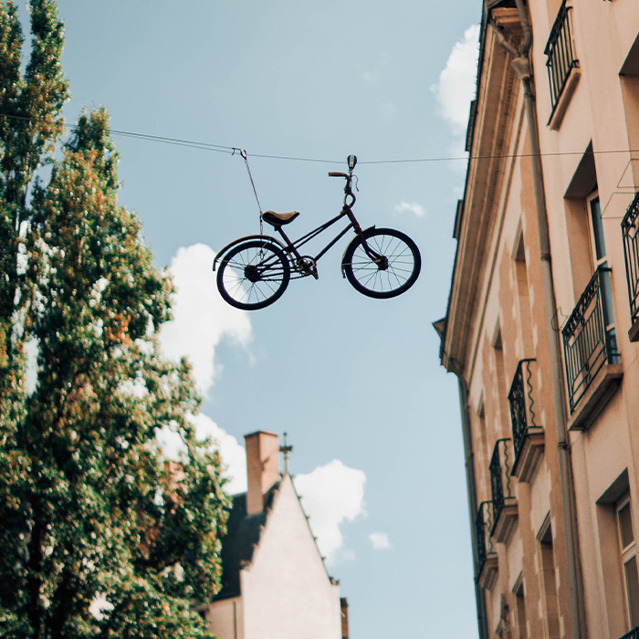 116 Weird Facts That You Just Have To Know