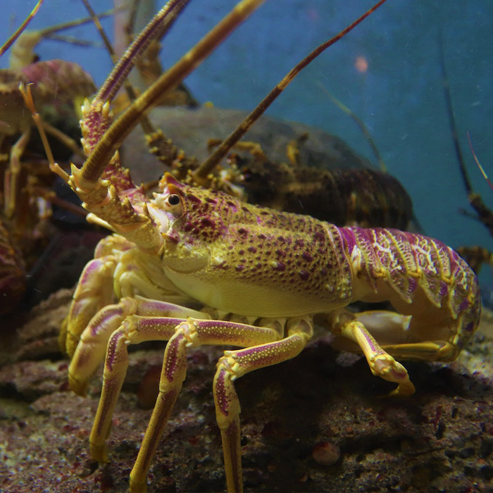 116 Weird Facts That You Just Have To Know