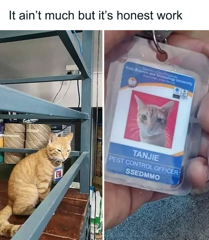 Blessed Pest Control Officer