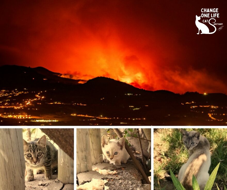 Wildfires Rapidly Spreading Closer To Our Area Wildfires Rapidly Spreading Closer To Our Area