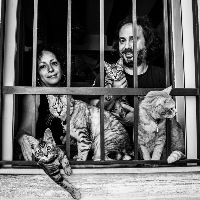 I Took Photos Of Window Cats In Venice, And Here Are 20 Of The Best Ones