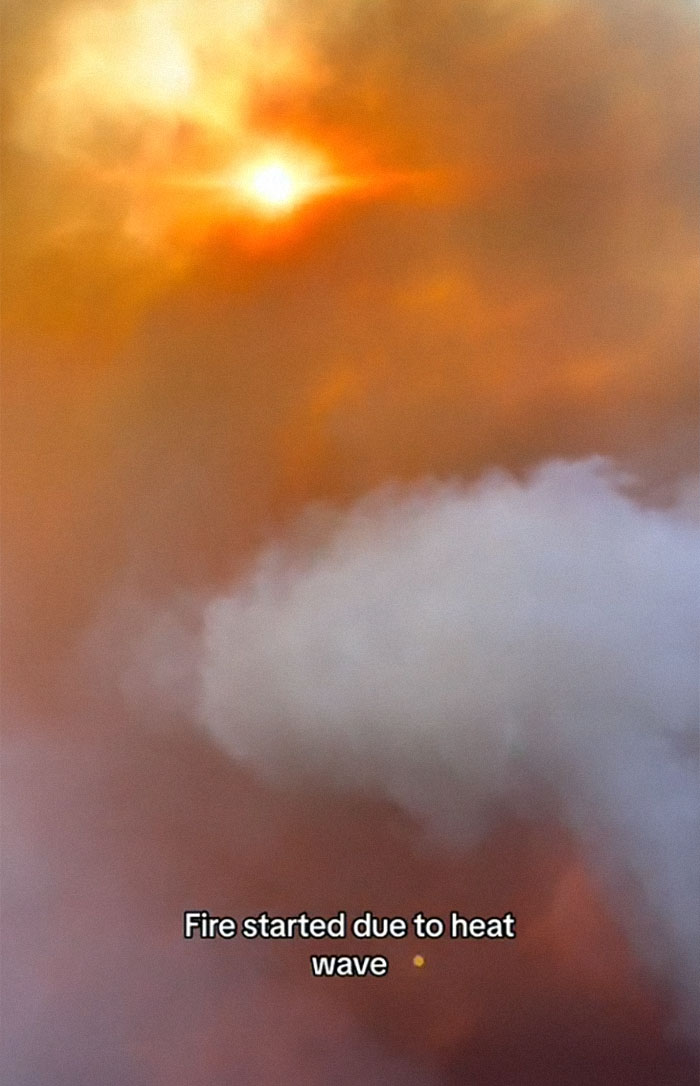 Woman Documents Her Weekend Trip That Turned Into Survival Mode In 24 Hours, Goes Viral (Video)