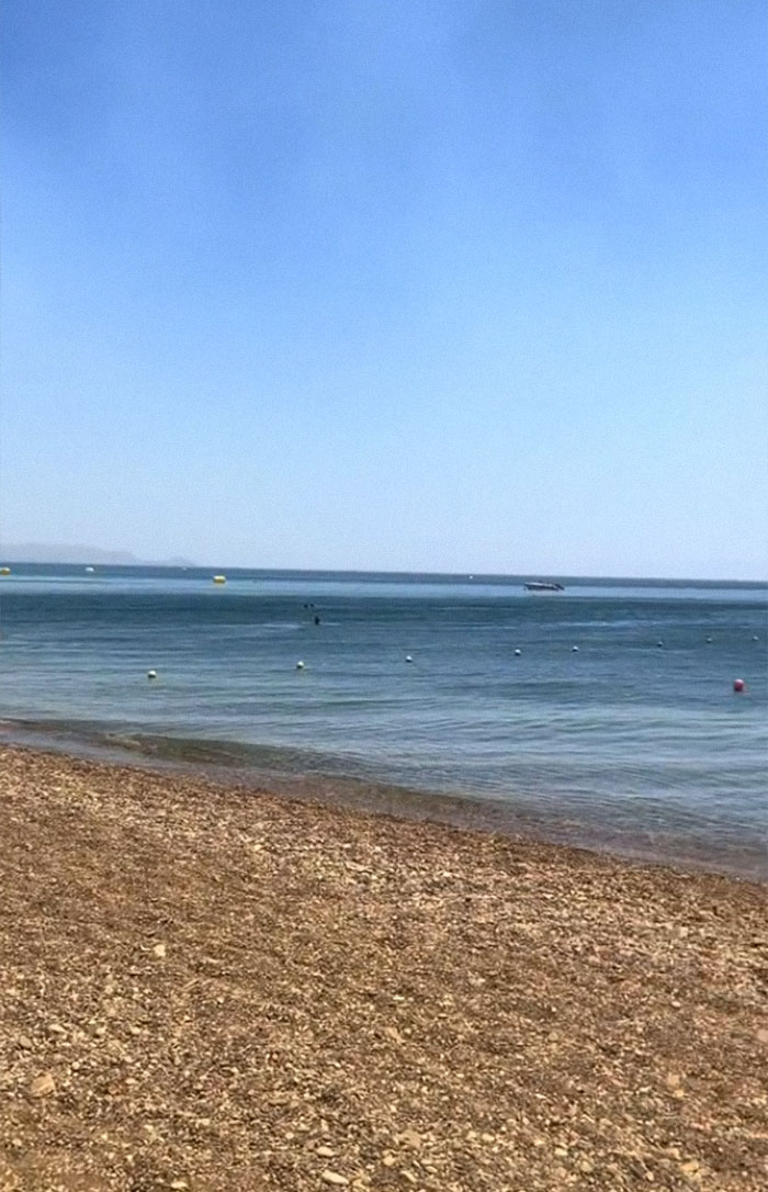 Woman Documents Her Weekend Trip That Turned Into Survival Mode In 24 Hours, Goes Viral (Video)