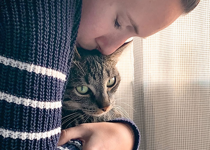 Woman Chooses Her Elderly Cat Over Fianc&eacute; And His Pregnant Daughter, Gets Full Support Online