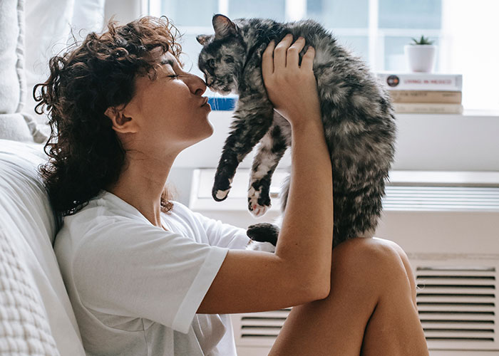 Woman Chooses Her Elderly Cat Over Fianc&eacute; And His Pregnant Daughter, Gets Full Support Online