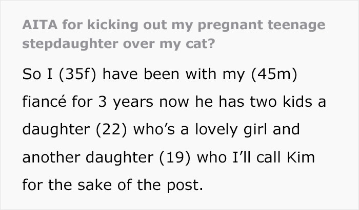Woman Chooses Her Elderly Cat Over Fianc&eacute; And His Pregnant Daughter, Gets Full Support Online