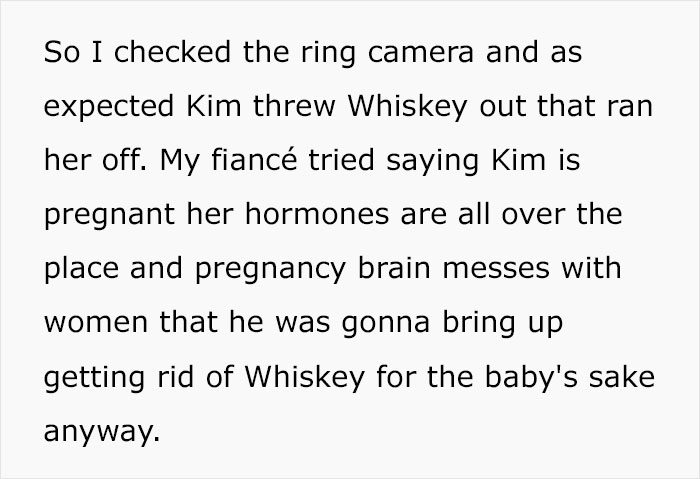 Woman Chooses Her Elderly Cat Over Fianc&eacute; And His Pregnant Daughter, Gets Full Support Online