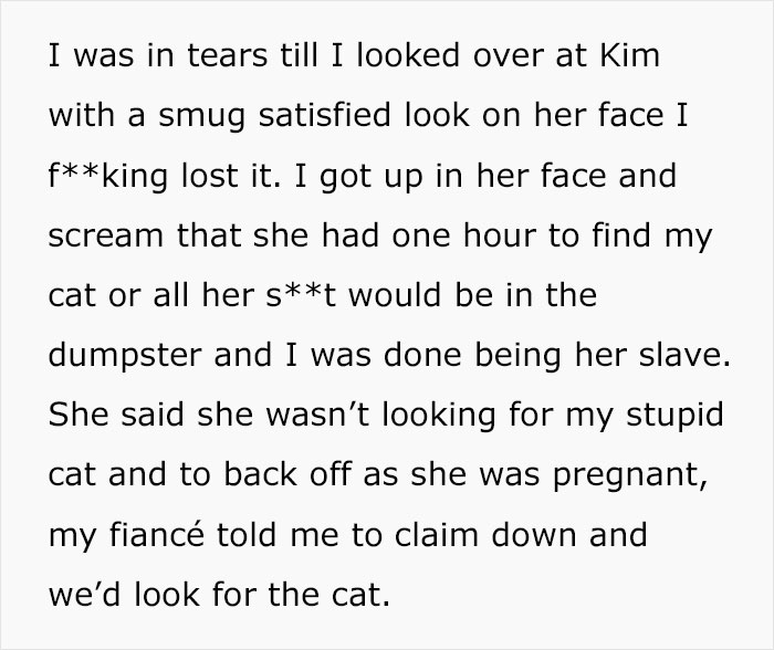 Woman Chooses Her Elderly Cat Over Fianc&eacute; And His Pregnant Daughter, Gets Full Support Online