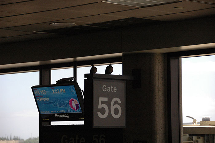 50 Of The Worst Things People Experienced Whilst On Holiday