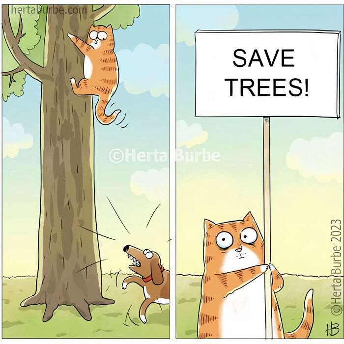 These Comics Will Make Your Day, We Are Sure Of That