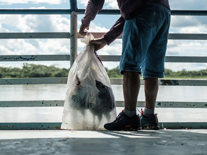 The man with his rooster The man with his rooster