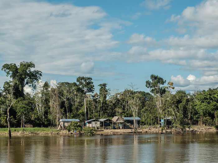 A small community on the shore of the Amazon River A small community on the shore of the Amazon River