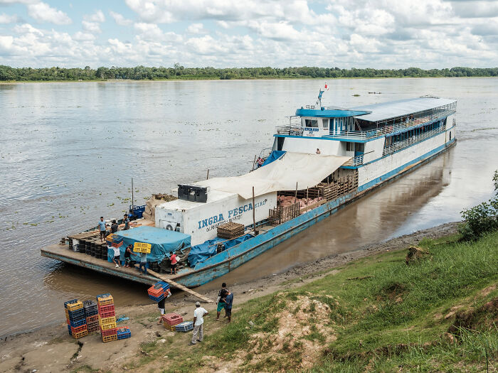 Eduardo 7 near Tamshiyacu Eduardo 7 near Tamshiyacu