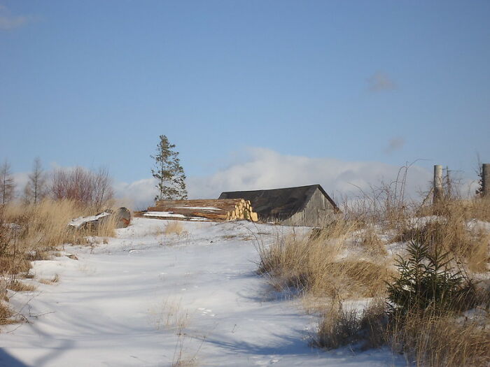 Folks Who Speak Several Languages Point Out 30 Concepts English Doesn’t Have A Word For