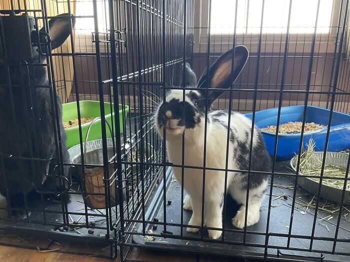 Charlie Is Trying To Kiss Me