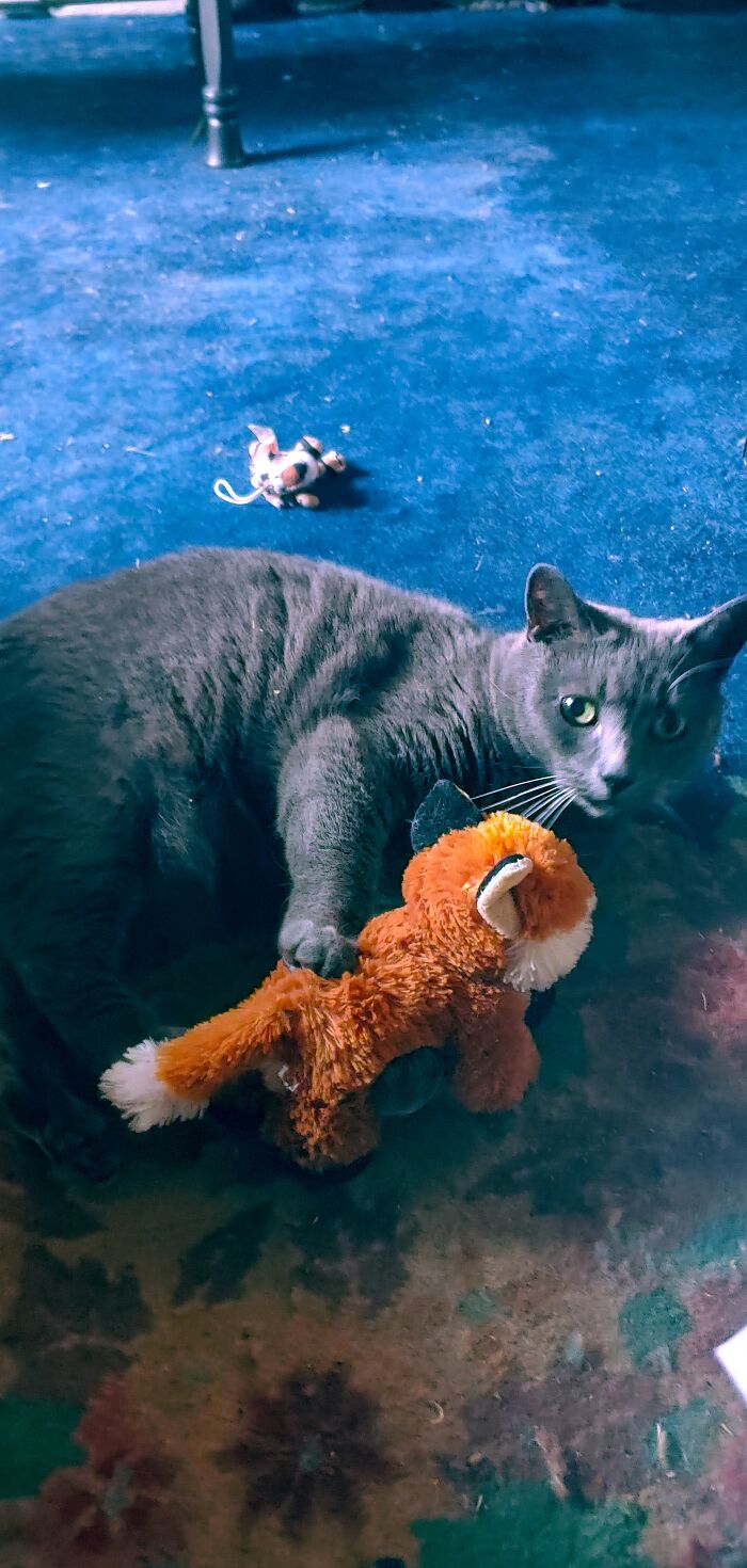 Baba Yaga Cuddling With Her Fox