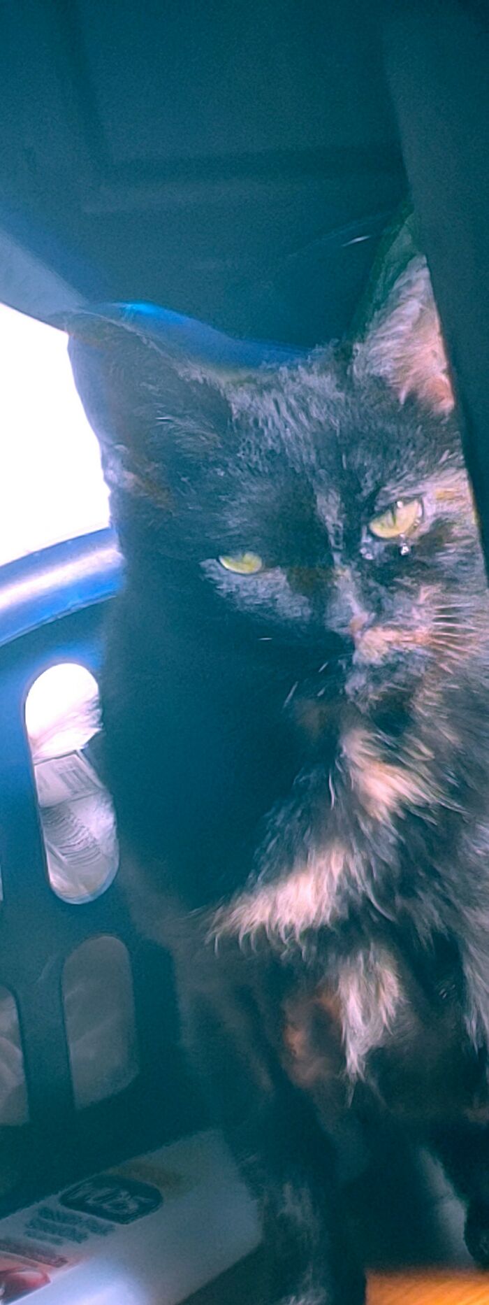 Cinder Is Not Amused!