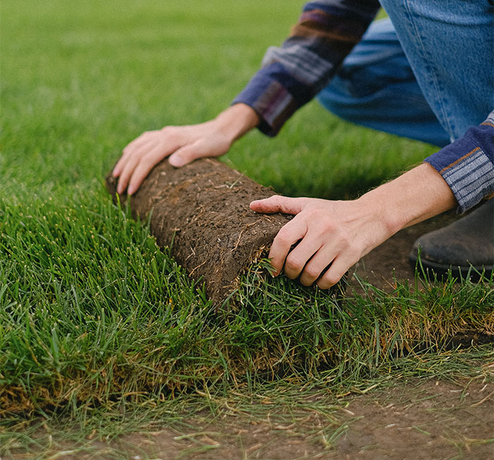 “That’s Hilarious”: Man Returns Home, Has No Idea Where His Entire Lawn Went “That’s Hilarious”: Man Returns Home, Has No Idea Where His Entire Lawn Went
