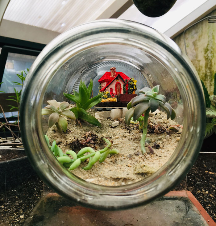 Woman Is Happy To Finally Get Her Own Dwelling, Shady Friend Wants To Move In There Too Woman Is Happy To Finally Get Her Own Dwelling, Shady Friend Wants To Move In There Too