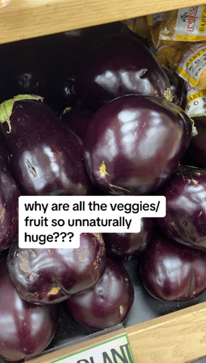 Only-American-Things