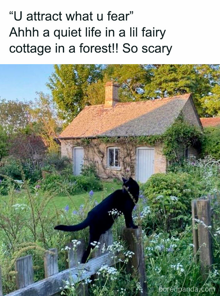 A black cat on a fence in a garden with a quaint cottage, part of funny and polite memes.