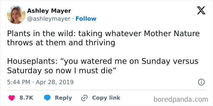 Funny-Sarcastic-Memes-Pics