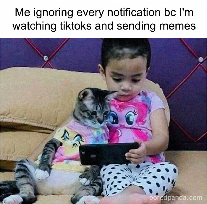 Funny-Sarcastic-Memes-Pics