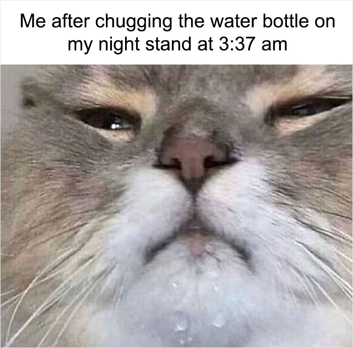 Funny-Sarcastic-Memes-Pics