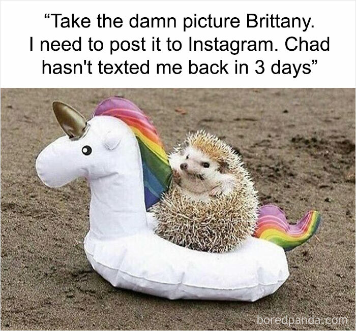 Funny-Sarcastic-Memes-Pics