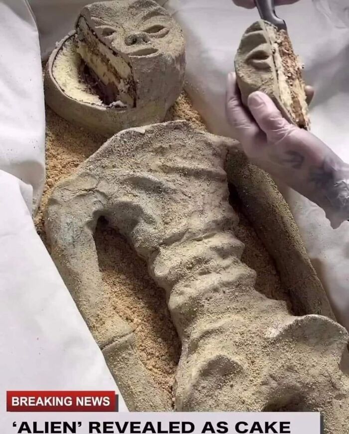 Weird-Pics-Outrebizarre