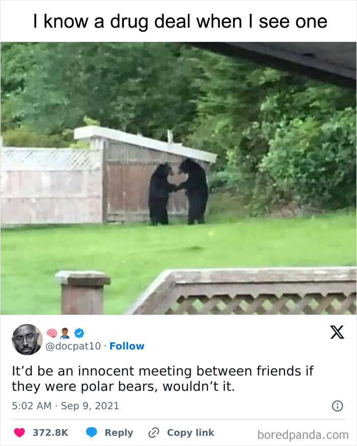 Savage-Rare-Insults-Twitter