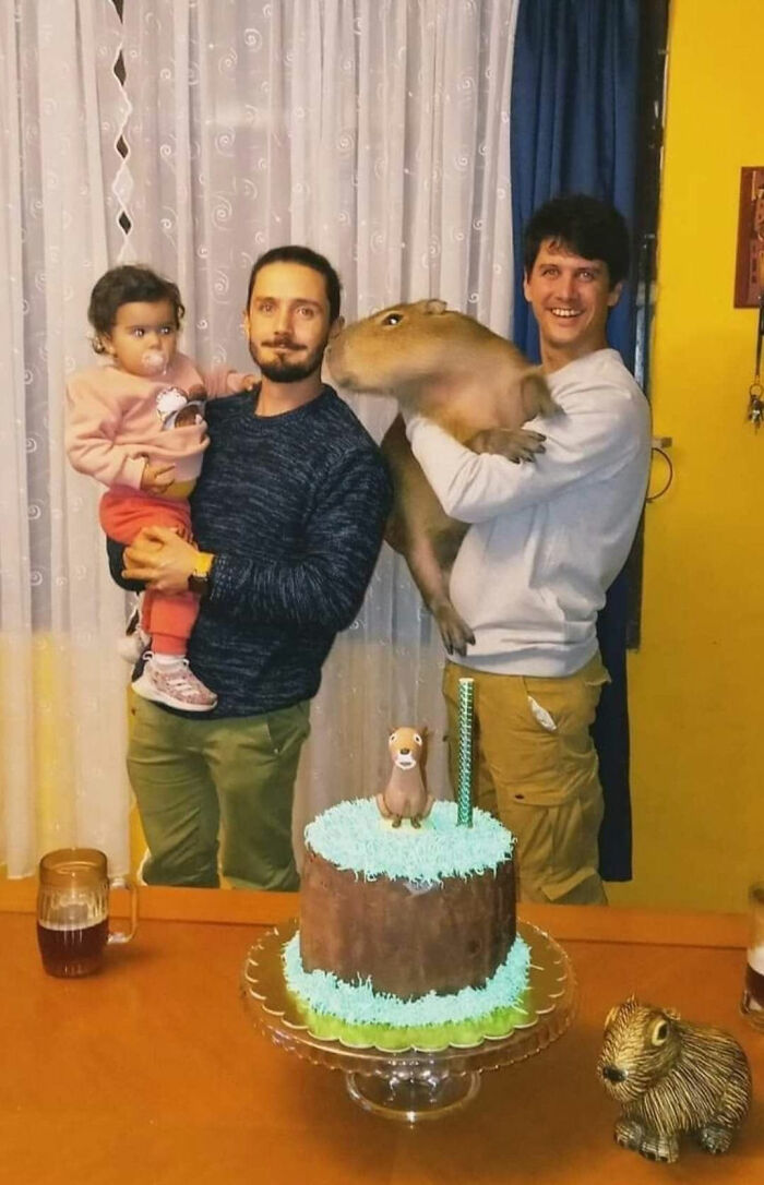 Weird-Pics-Outrebizarre