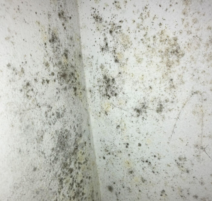 30 Restaurant Guests Share The Most Disgusting Things They’ve Seen, And It Hurts To Read