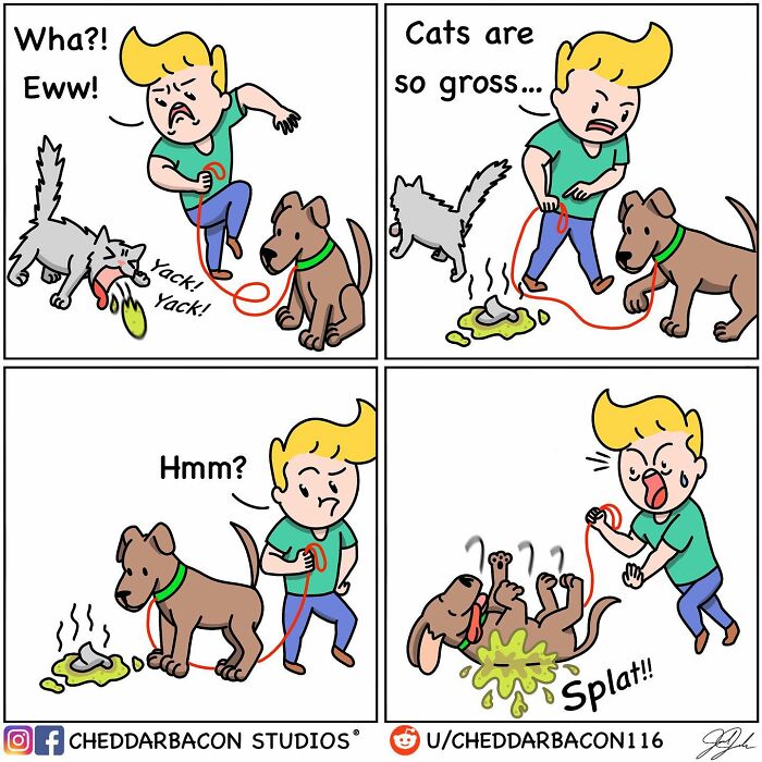 Cat vs dog 