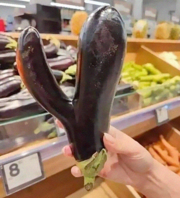 Unusually shaped eggplant in a grocery display, showcasing cursed foods.