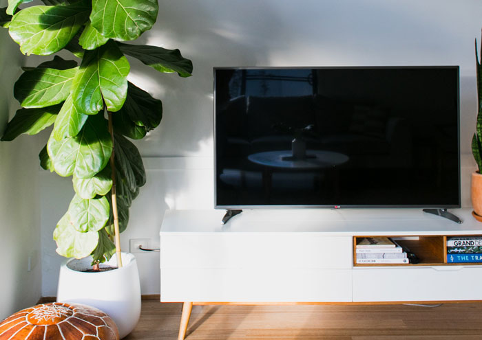 Guy Thinks He's Entitled To Neighbor's TV, Regrets It