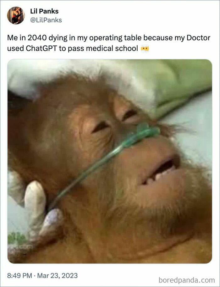 Monkey in hospital bed, humorous ChatGPT meme about AI replacing jobs.