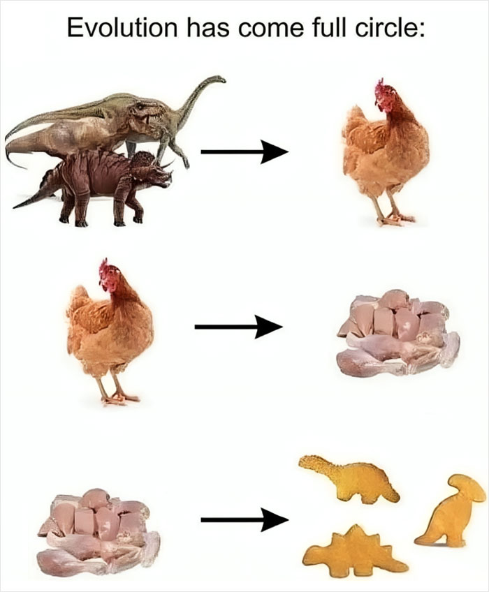Weird meme showing evolution of dinosaurs to chicken, chicken to nuggets, and nuggets to dinosaur shapes.