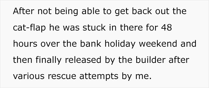 Cat Breaks Into Neighbor&rsquo;s New Home, They Are Furious And Ask For $2,000