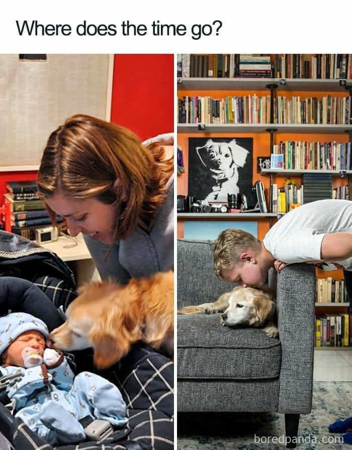A Lifetime of Companionship in Two Photos