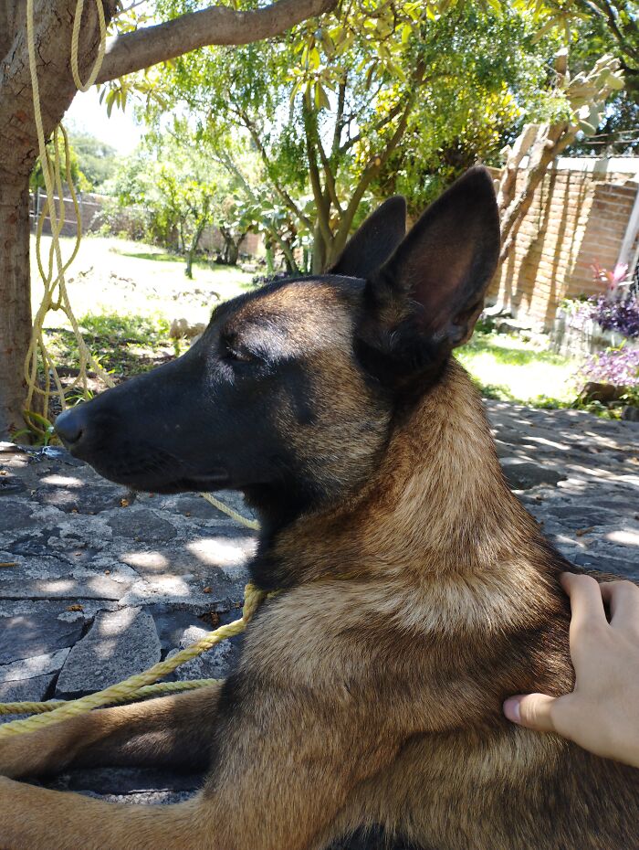 New Family Member ❤️