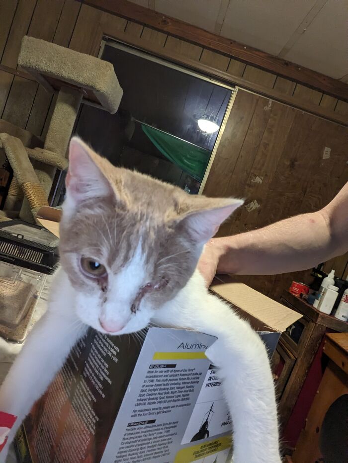 My Little Goober Jack. I Found Him In A Box