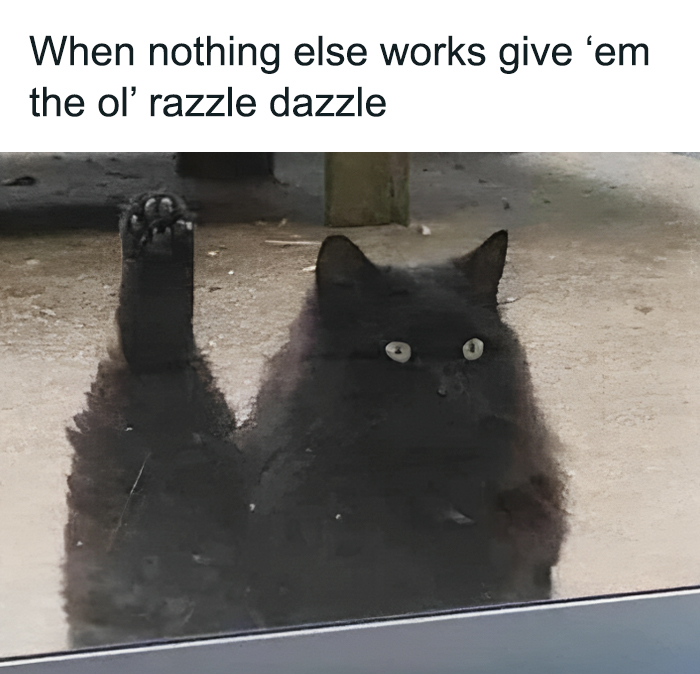 Funny-Cheerful-Nihilism-Memes