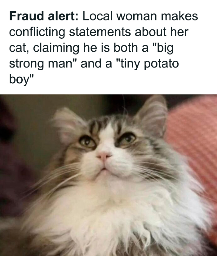 Funny-Cheerful-Nihilism-Memes