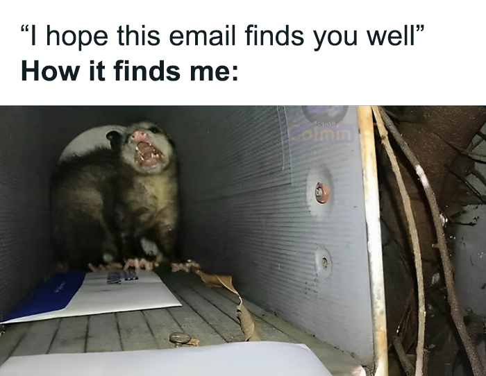 Funny-Cheerful-Nihilism-Memes