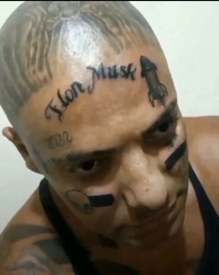 Weird-Pics-Outrebizarre