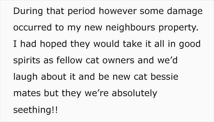 Cat Breaks Into Neighbor&rsquo;s New Home, They Are Furious And Ask For $2,000