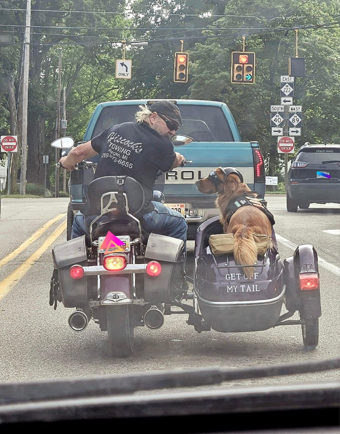 A dog meme showing a man riding a motorcycle with a sidecar at a traffic light. In the sidecar, a dog wearing a harness sits patiently. The back of the sidecar has a humorous message that reads, "GET OFF MY TAIL." The scene captures the dog enjoying the ride, adding a touch of humor to the situation.